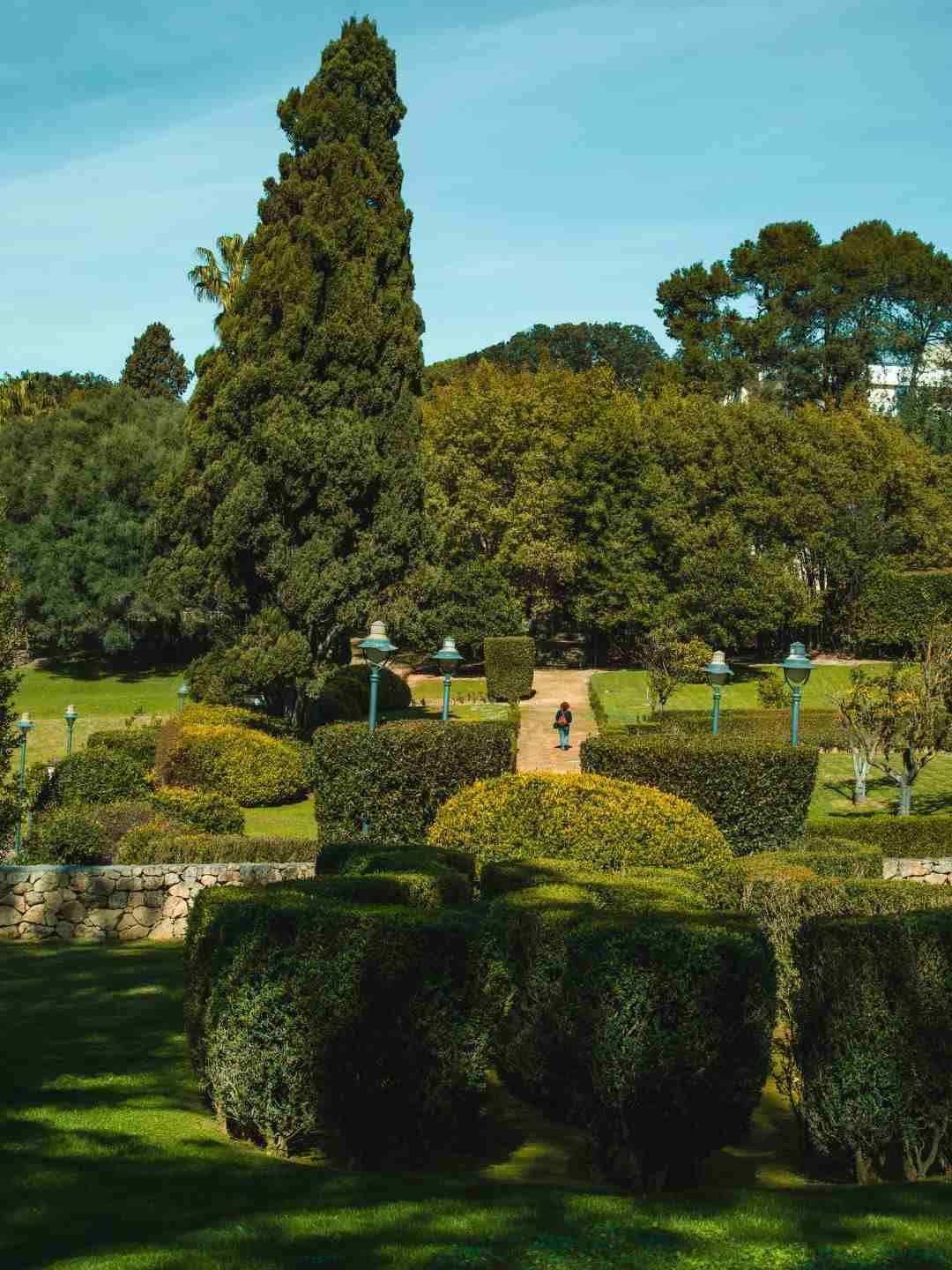 Siepi e percorsi per passeggiate nel Parco di Monserrato a Sassari