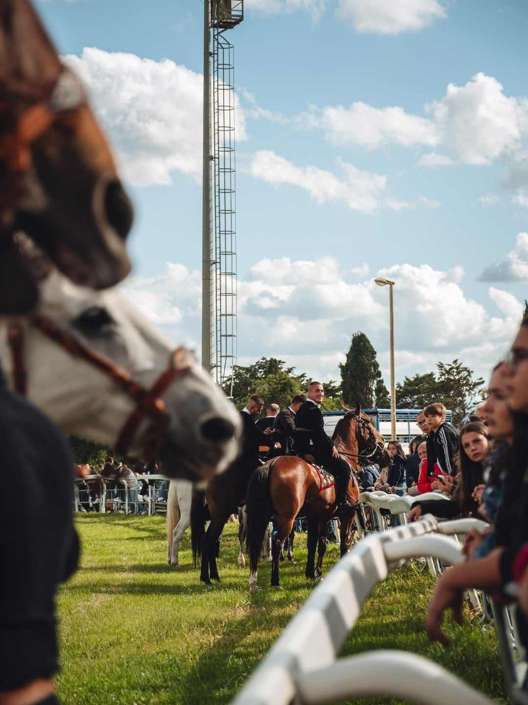 Cavalli all'ippodromo per la Cavalcata Sarda a Sassari